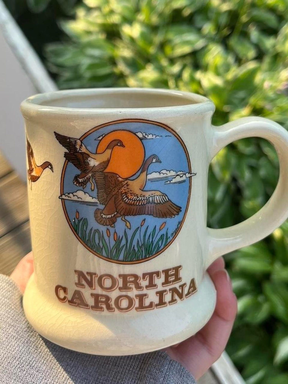 vintage north carolina cup